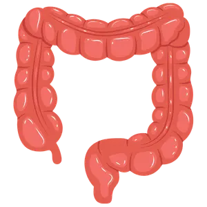 Cirujano Gastrointestinal en Morelia