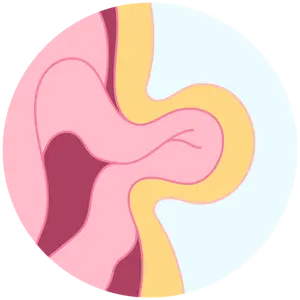 Cirujano Gastrointestinal en Morelia