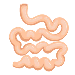 Cirujano Gastrointestinal en Morelia