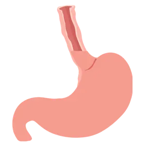 Cirujano Gastrointestinal en Morelia
